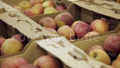 市场。 在前景美丽的五颜六色的苹果摊上。 大苹果放在架子上的木箱里。